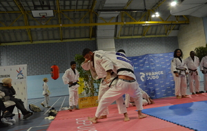 21ème Tournoi individuel Judo du Pays d'Arles.